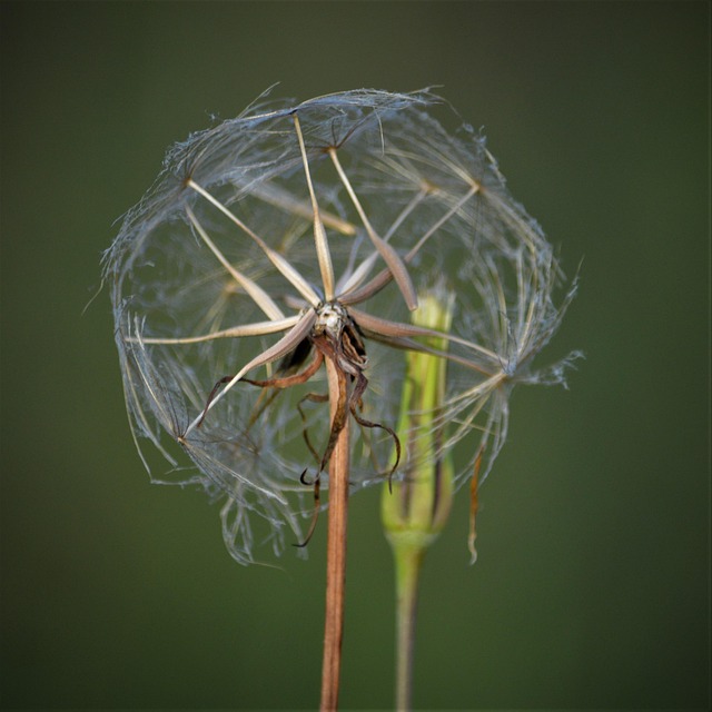 Free Wind Generator photo and picture
