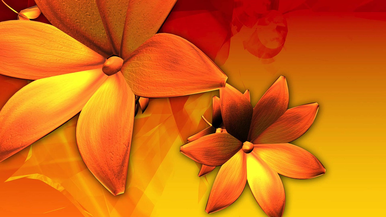 Fleurs Orange Nature - Image gratuite sur Pixabay - Pixabay