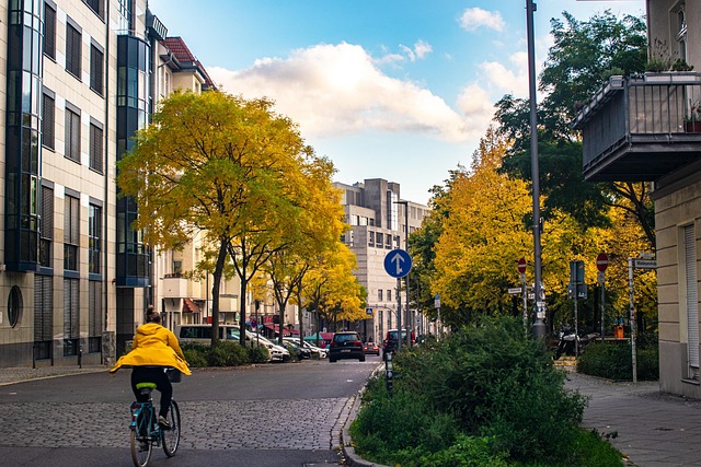 Otoño, La Carretera, Chubasquero, Ciudad