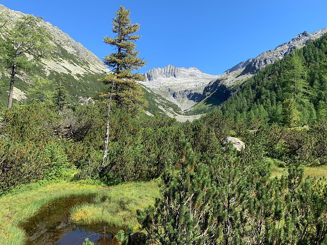 山 高恩山 高沼泽 - Pixabay上的免费照片