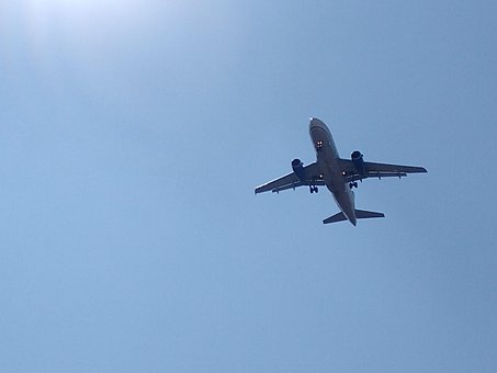 Free Plane Darling photo and picture
