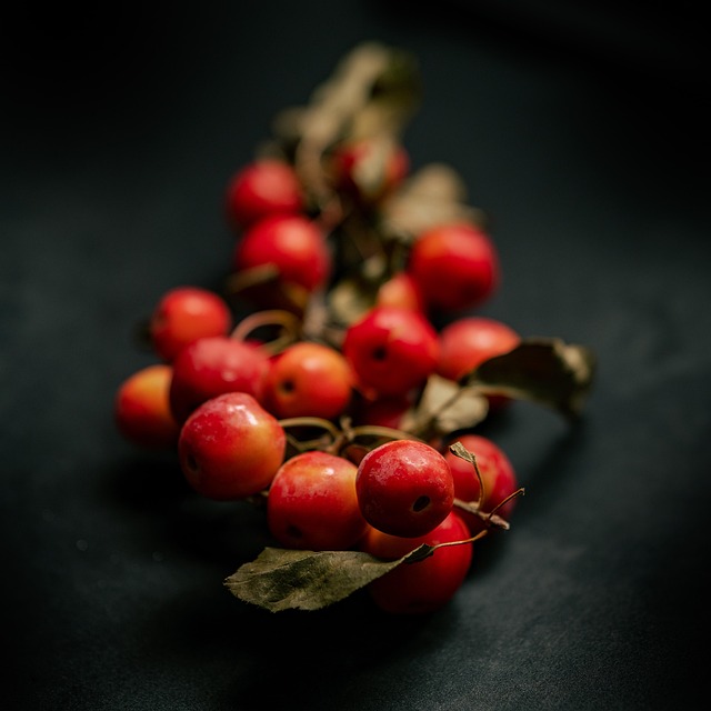 Free Berries Fruits photo and picture