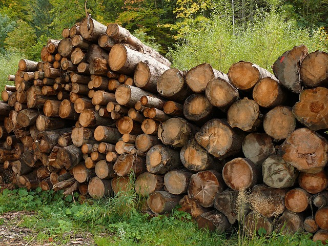 Holz, Brennholz, Stapel, Vorbereitet