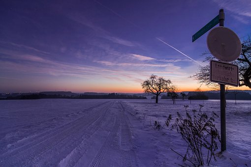 Neve, Arvores, Sinais De Trânsito
