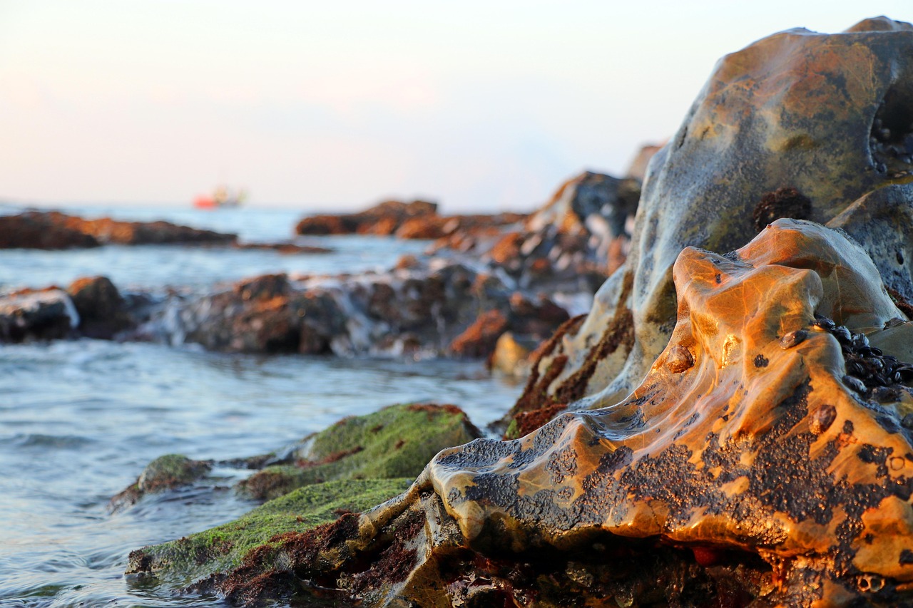 Ocean Rocks Coast - Free photo on Pixabay - Pixabay