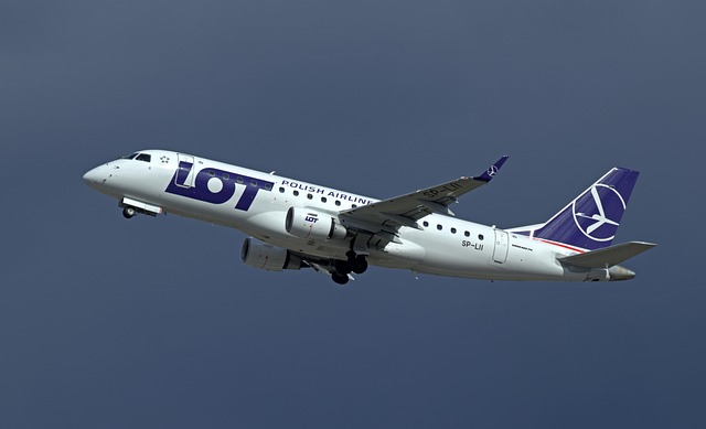 Free The Plane Flight photo and picture
