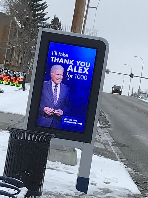 Alex Trebec Winter - Free photo on Pixabay - Pixabay