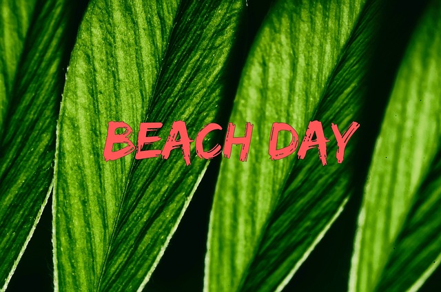 Blätter, Strand, Tag, Natur, Sommer
