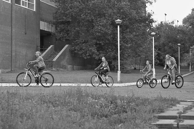 Passeio, Bicicletas, Ótimo, Rua, Dia