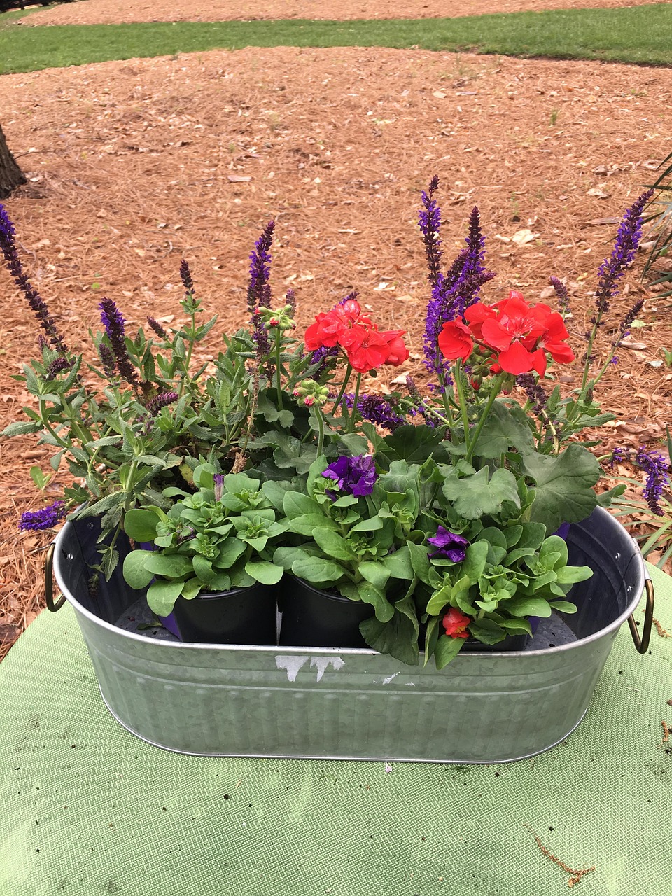 Flowers Planters Planter Free photo on Pixabay Pixabay