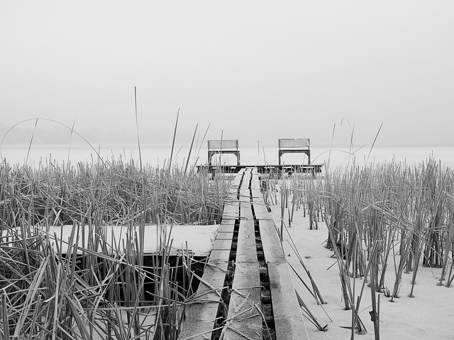 Winter, Natur, Fußgängerbrücke
