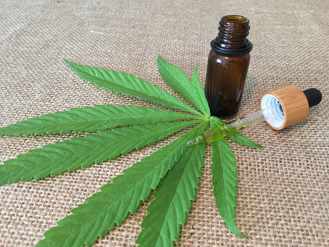 Free Cbd Hanf photo and picture