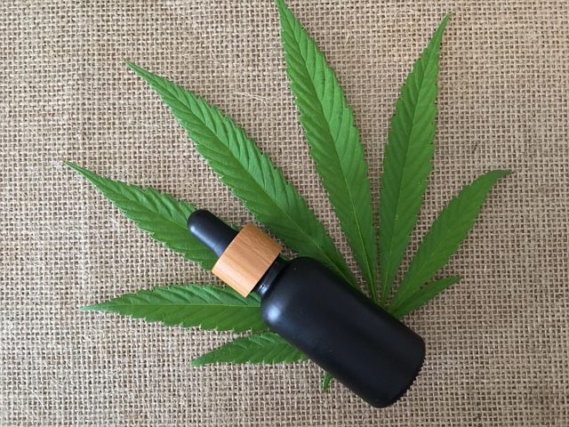 Free Cbd Hanf photo and picture