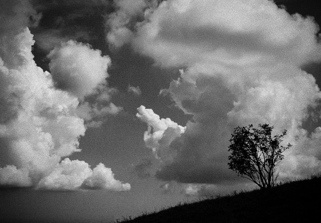 Mraky, Strom, Volně
