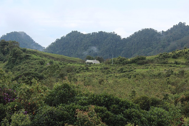 Berg, Glamping, Mist, Wolken, Landschap