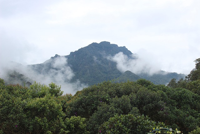 Berg, Wolken, Mist, Bergen, Landschap