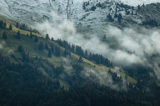 Free Mountains Trees photo and picture