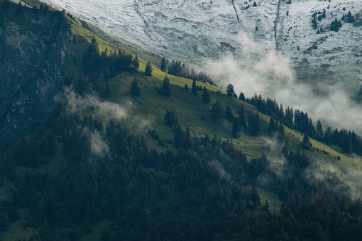 Free Mountains Trees photo and picture