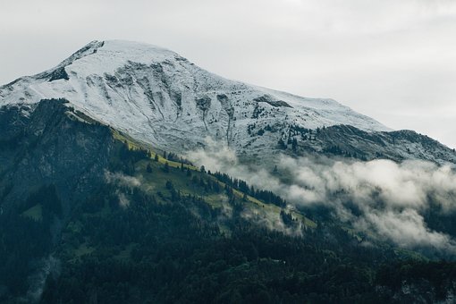 Free Mountains Trees photo and picture
