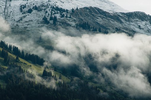 Free Mountains Trees photo and picture