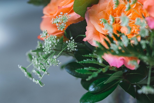 Free Flowers Bloom photo and picture