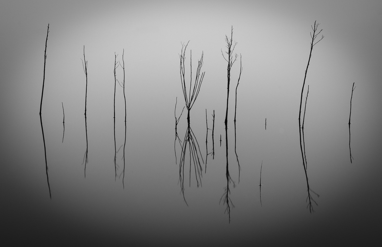 Reflection Water Nature - Free photo on Pixabay - Pixabay