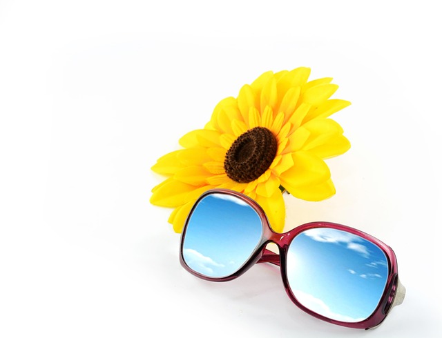 Free Sunflower Sunglasses photo and picture