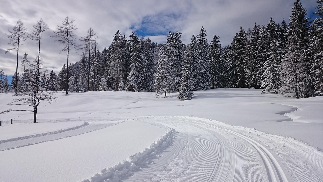 Cross Country Skiing Austria Wald Free photo on Pixabay Pixabay