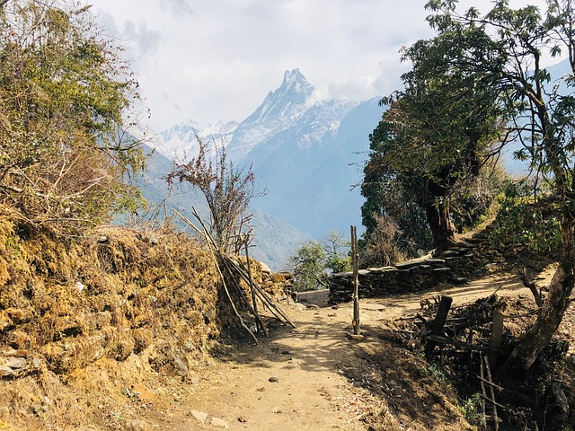 Free Nepal Himalaya photo and picture