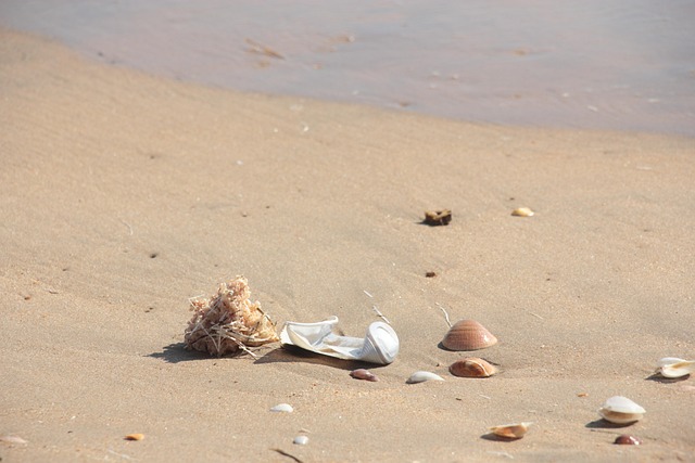 Free Pollution Plastic photo and picture