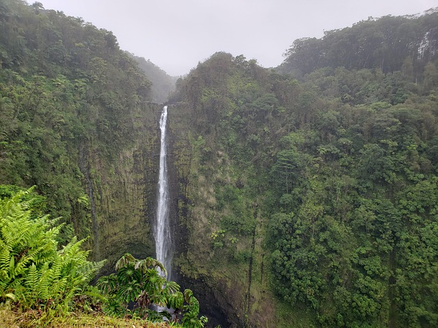 Free Waterfall Lush photo and picture