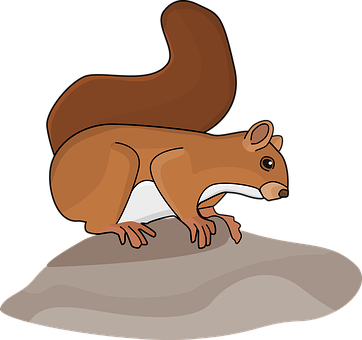 Free Squirrel Stone illustration and picture