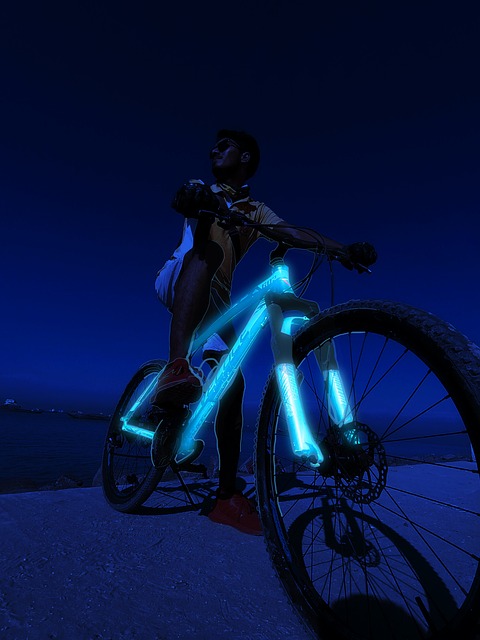Free Dark Night photo and picture