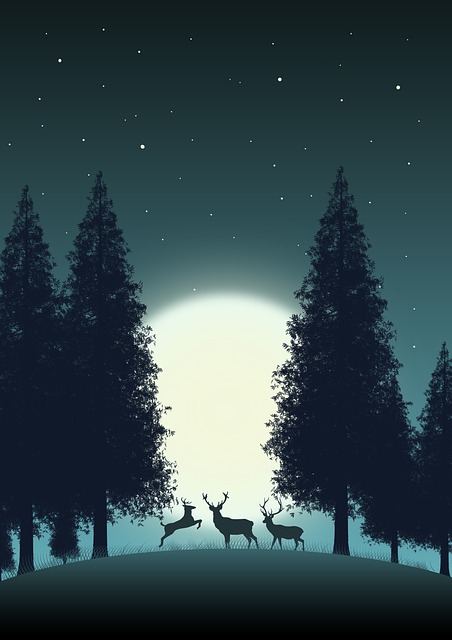 Hirsch, Mond, Wald, Silhouette, Tiere