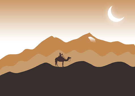 Kamel, Wüste, Mond, Silhouette, Dünen