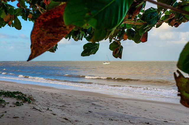 Strand Brasiliansk, Bølger Brasiliansk
