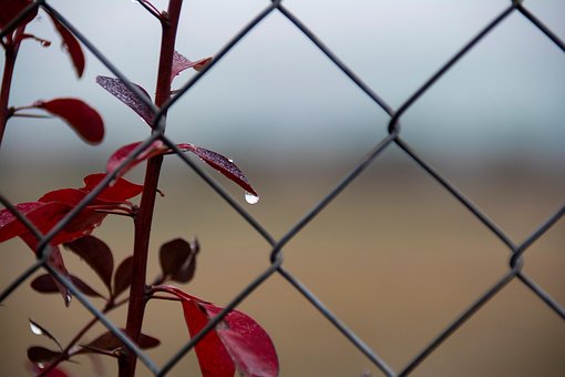 Free Fog Water photo and picture