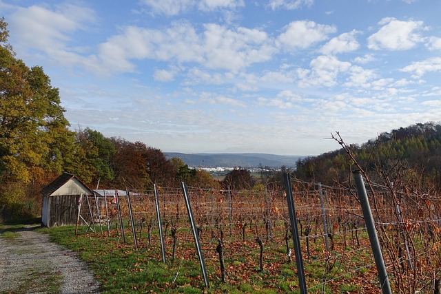 Herbst, Landschaft, Romantisch, Wald