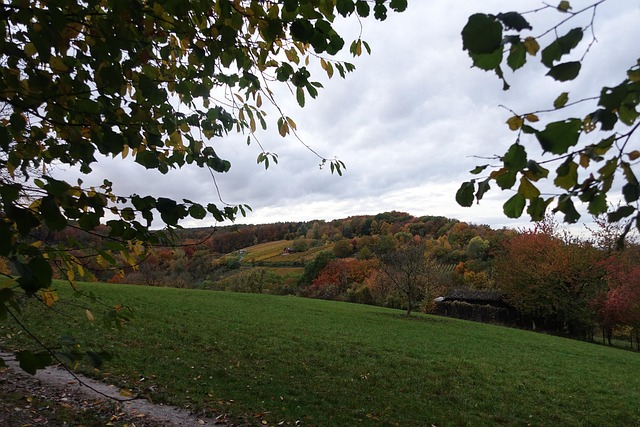Herbst, Landschaft, Romantisch, Wald