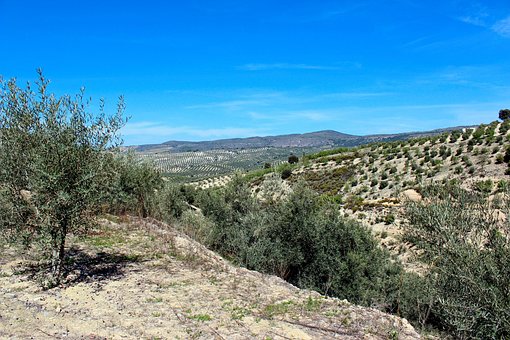 Montanhas, Espanha, Paisagem, Natureza