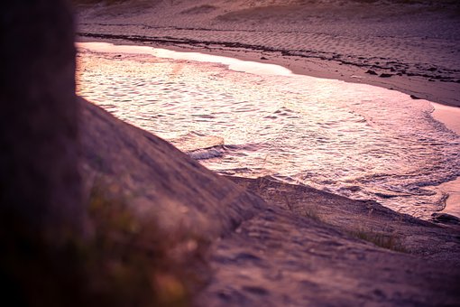 Free Beach Sunset photo and picture
