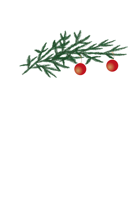 Zweig, Weihnachtskugel, Kiefer, Ornament