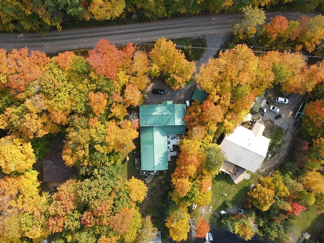 Free Drone Cottage photo and picture