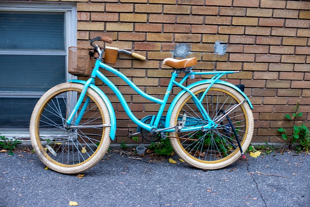 Free Bike House photo and picture