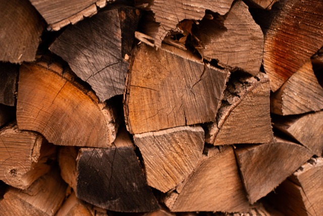 Free Woodpile Winter photo and picture