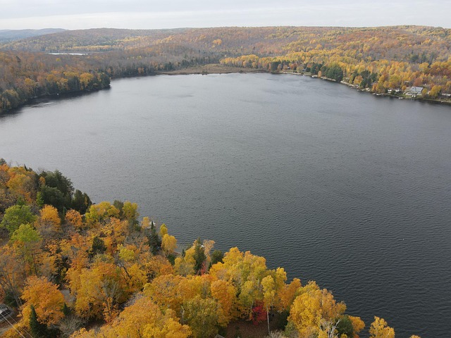 Free Drone Bancroft photo and picture
