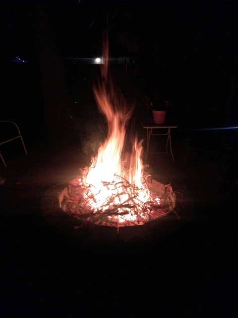 Free Fire Bonfire photo and picture