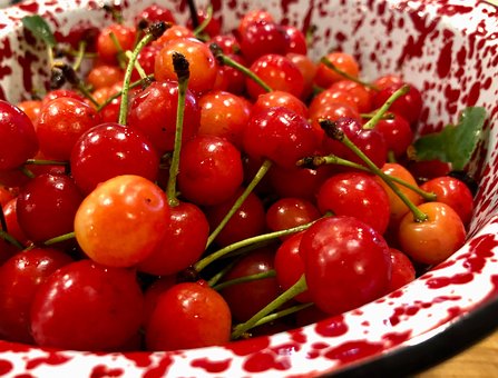 Free Cherries Enamel photo and picture