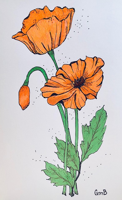 Free Flower Orange photo and picture