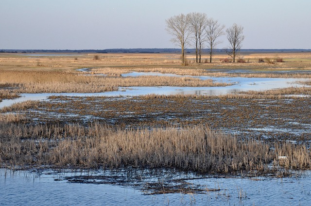 Free Backwater River photo and picture